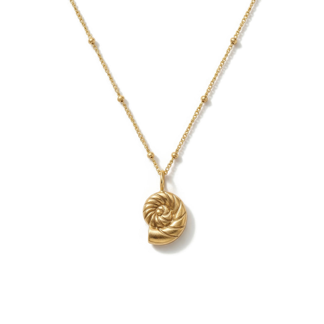Colar Nautilus