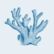 Logo di litoralma